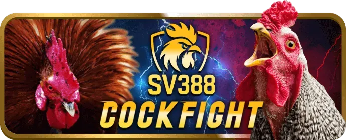 Hướng dẫn nhận và nhập mã sao789 code